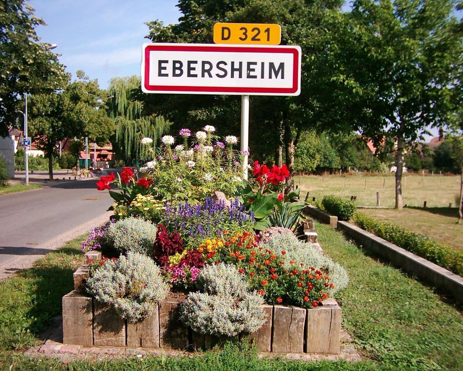 Gite Elouann Familial Spacieux Calme Ebersheim Ngoại thất bức ảnh